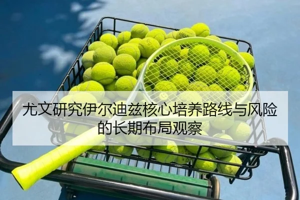 尤文研究伊尔迪兹核心培养路线与风险的长期布局观察